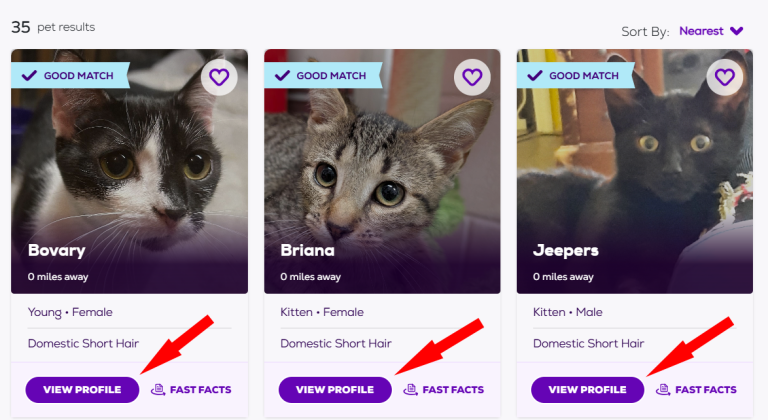 instructions for sponsoring a pet
